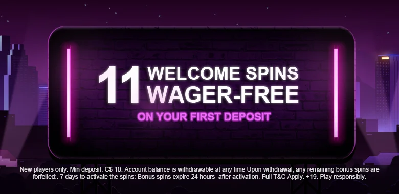 Mr Vegas Casino 11 WELCOME SPINS WAGER-FREE