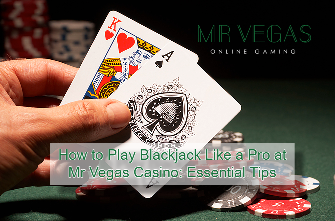 How to Play Blackjack Like a Pro at Mr Vegas Casino_ Essential Tips